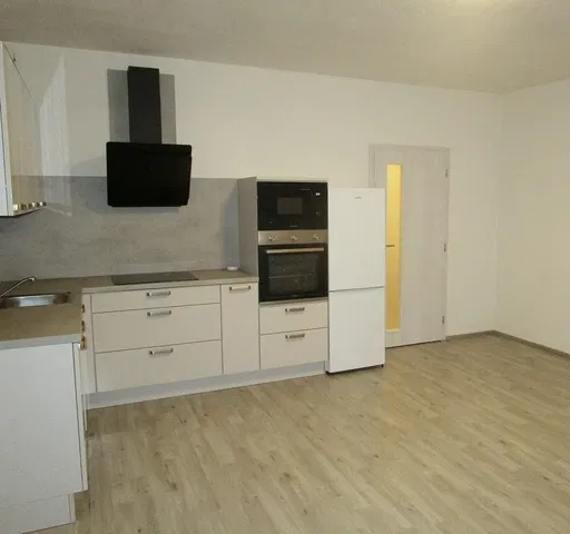 Кухня; кухненски уреди, ремонтиран, естествена светлина, модерен стил