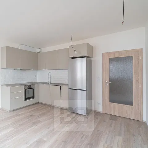Kitchen; kitchen appliances, renovated, natural light, modern style
