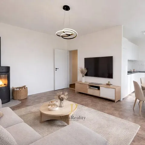 Wohnzimmer; kamin, tageslicht, moderner stil