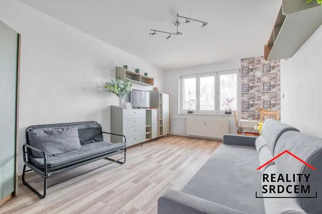 Хол; естествена светлина, модерен стил