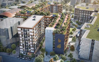 Huis en omgeving; uitzicht