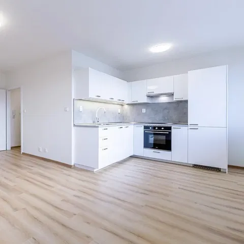 Küche; küchengeräte, holzboden, renoviert, tageslicht