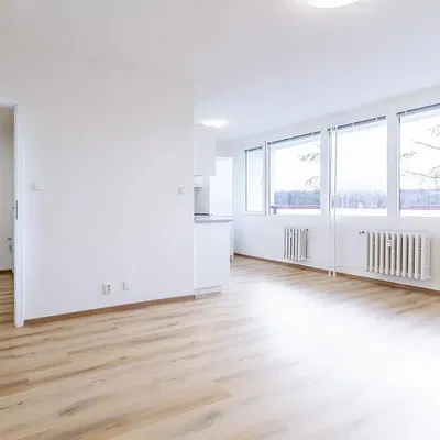 Wohnzimmer; tageslicht, holzboden, renoviert