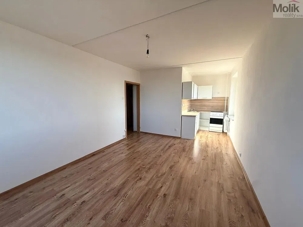 Хол; дървен под, кухненски уреди, естествена светлина, ремонтиран