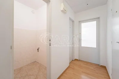 Cloakroom; tile floor, wood floor, natural light, renovated