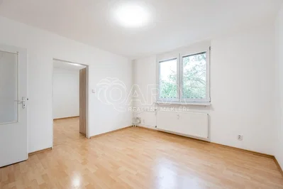 Living room; natural light, wood floor