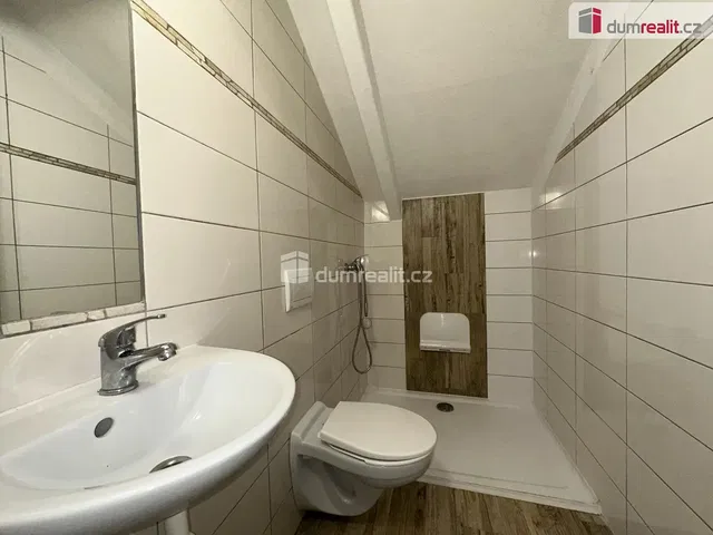 Τουαλέτα; πλακάκια, ανακαινισμένο, φυσικό φως