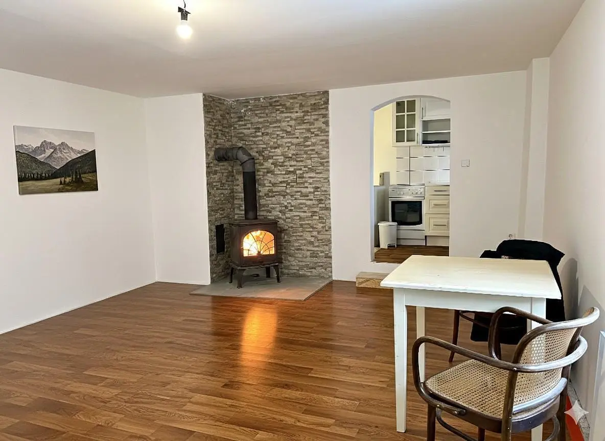 Wohnzimmer; kamin, holzboden, tageslicht