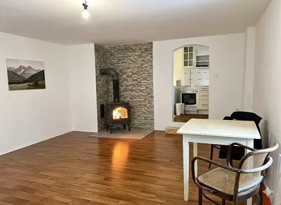 Wohnzimmer; kamin, holzboden, tageslicht