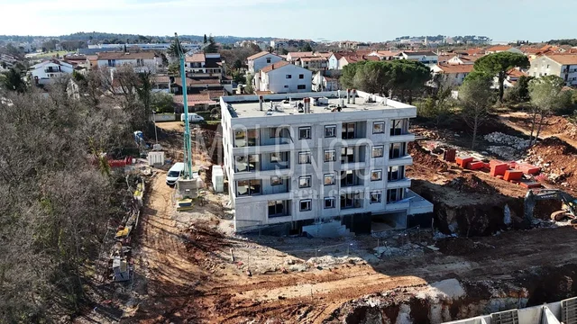 House and surroundings