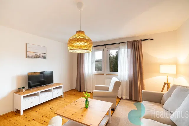 Salon; lumière naturelle, style moderne, parquet