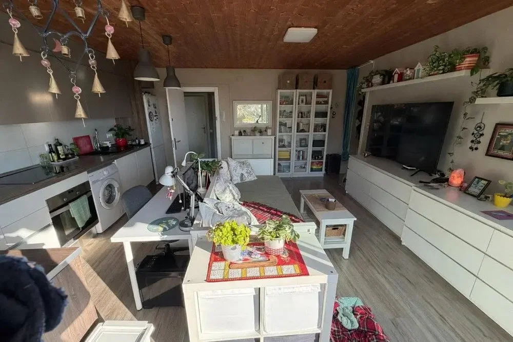 Wohnzimmer; küchengeräte, tageslicht, moderner stil