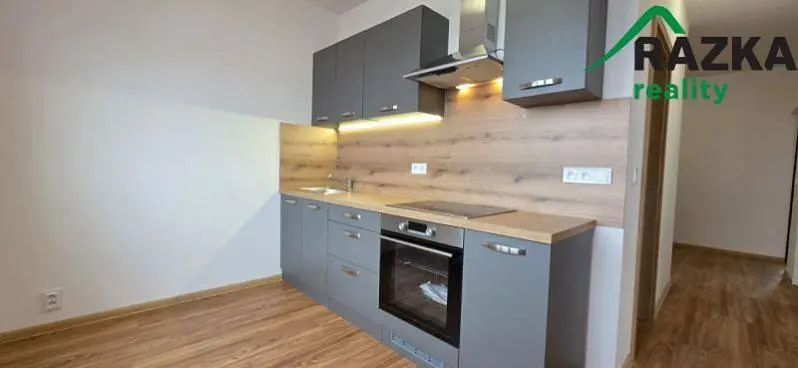 Küche; küchengeräte, renoviert, tageslicht, moderner stil