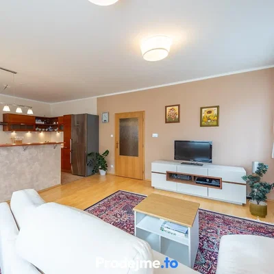 Salón; luz natural, estilo moderno