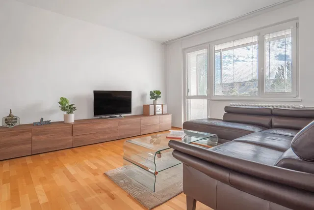 Σαλόνι; θέα, ξύλινο πάτωμα, φυσικό φως, μοντέρνο στυλ