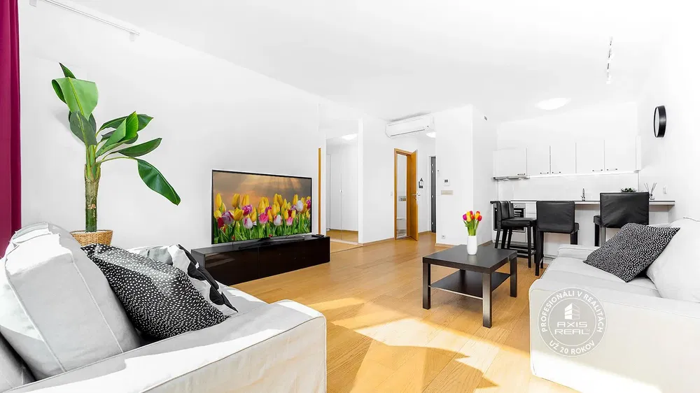 Wohnzimmer; tageslicht, moderner stil