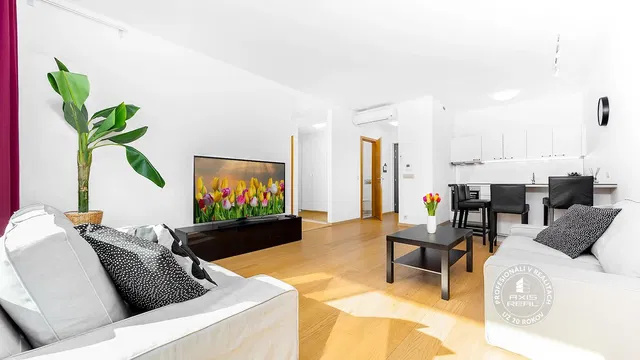 Salon; lumière naturelle, style moderne