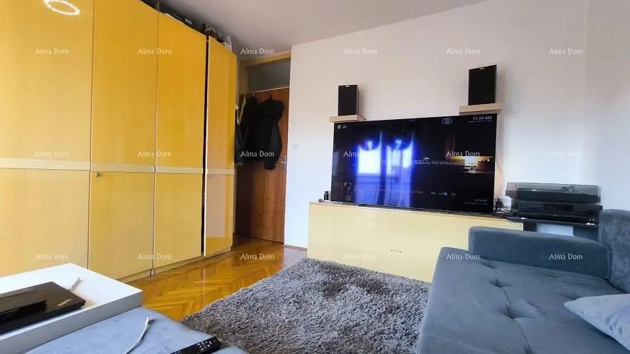 Dnevna soba; drveni pod, prirodno svjetlo, moderni stil