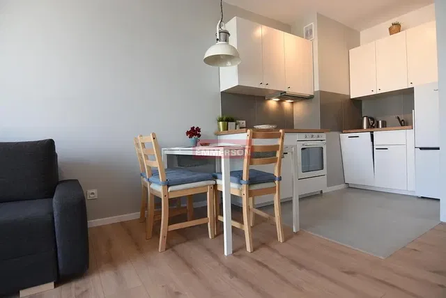 Kuchyně; kuchyňské spotřebiče, přirozené světlo, moderní styl, dřevěná podlaha