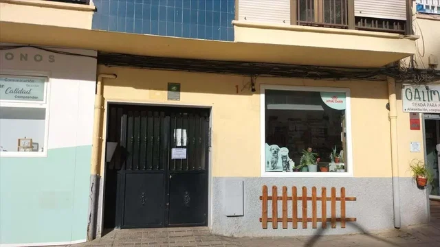 Σαλόνι