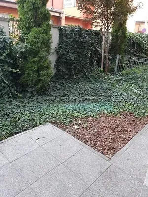 Haus und umgebung; tageslicht