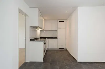 Кухиња; плочице, кухињски апарати, реновиран, природно светло