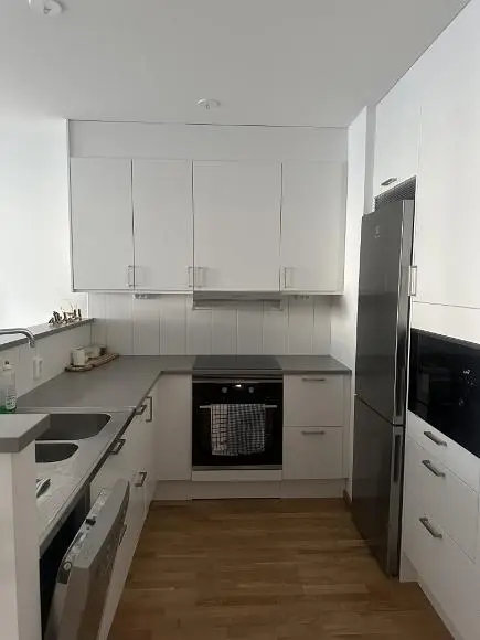 Cucina; elettrodomestici, pavimento in legno, ristrutturato, luce naturale