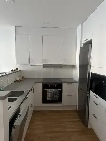 Cucina; elettrodomestici, pavimento in legno, ristrutturato, luce naturale