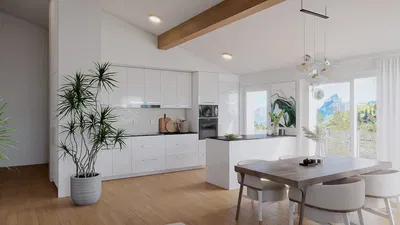 Küche; blick, holzboden, tageslicht, moderner stil