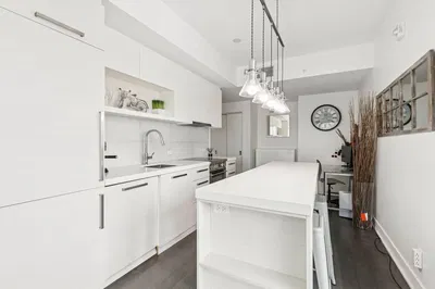 Kuchyňa; kuchynské spotrebiče, prirodzené svetlo, moderný štýl, po rekonštrukcii