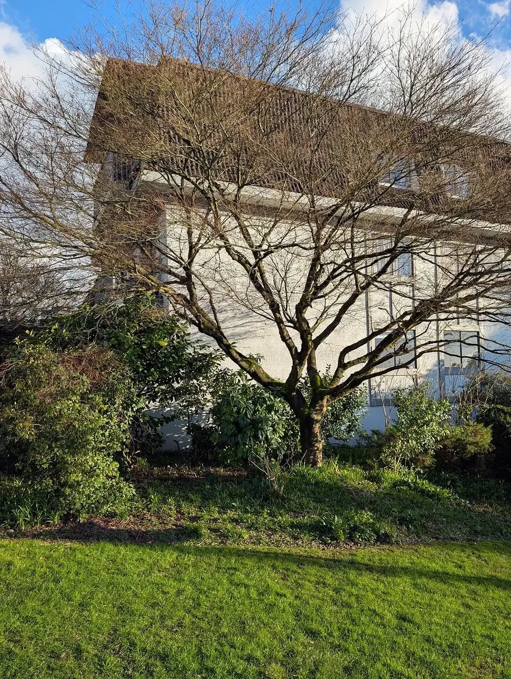 Casa y alrededores; luz natural