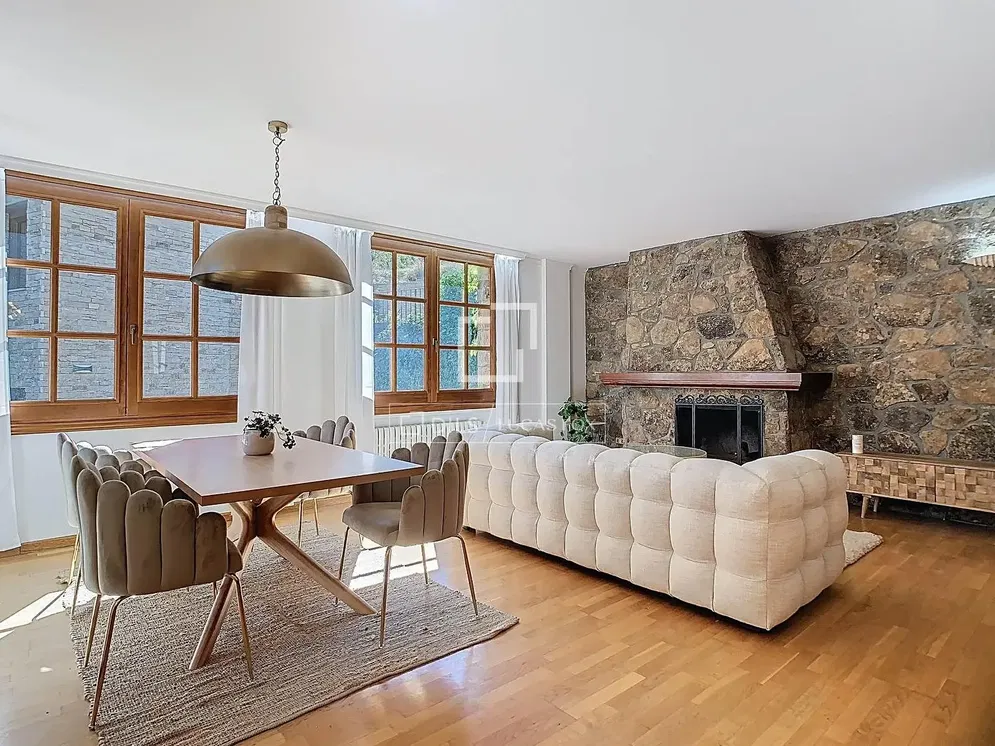 Living room; fireplace, natural light, modern style