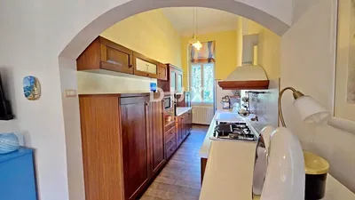 Kuchyně; kuchyňské spotřebiče, přirozené světlo, moderní styl