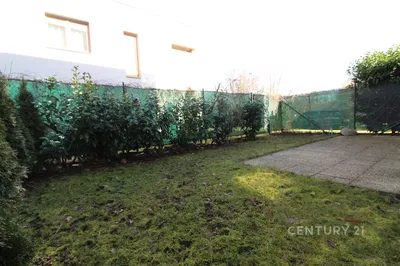 Haus und umgebung; tageslicht