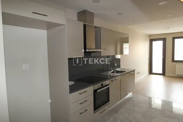 مطبخ; أجهزة المطبخ, ضوء طبيعي, أسلوب عصري