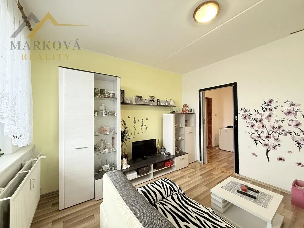 Salon; style moderne, lumière naturelle