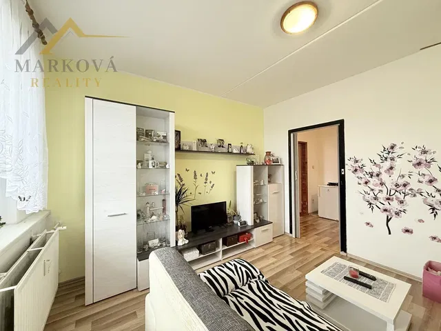 Salon; style moderne, lumière naturelle