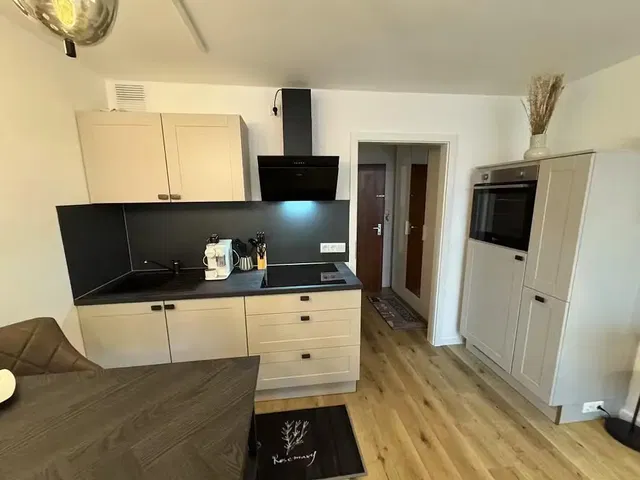 Kuchnia; sprzęt kuchenny, podłoga drewniana, światło dzienne, styl nowoczesny