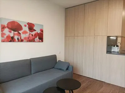 Living room; modern style, wood floor