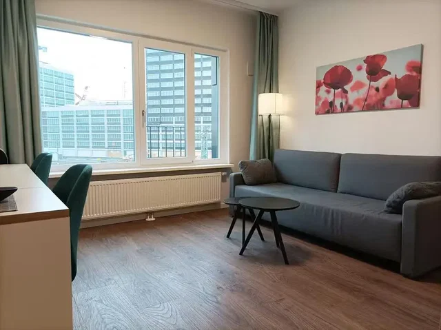 Salon; widok, podłoga drewniana, światło dzienne, styl nowoczesny