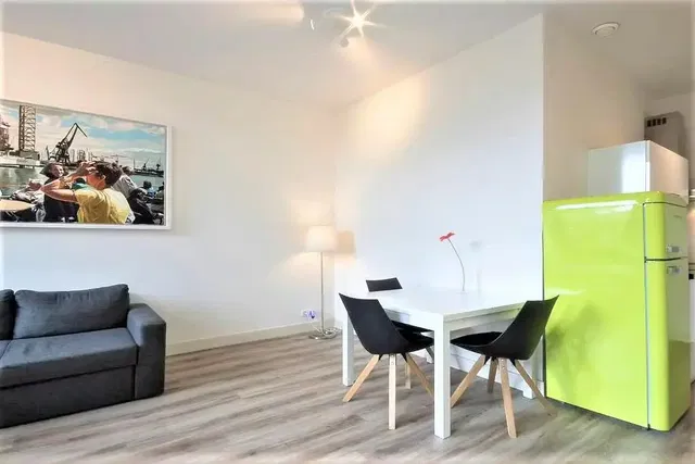 Living room; view, modern style