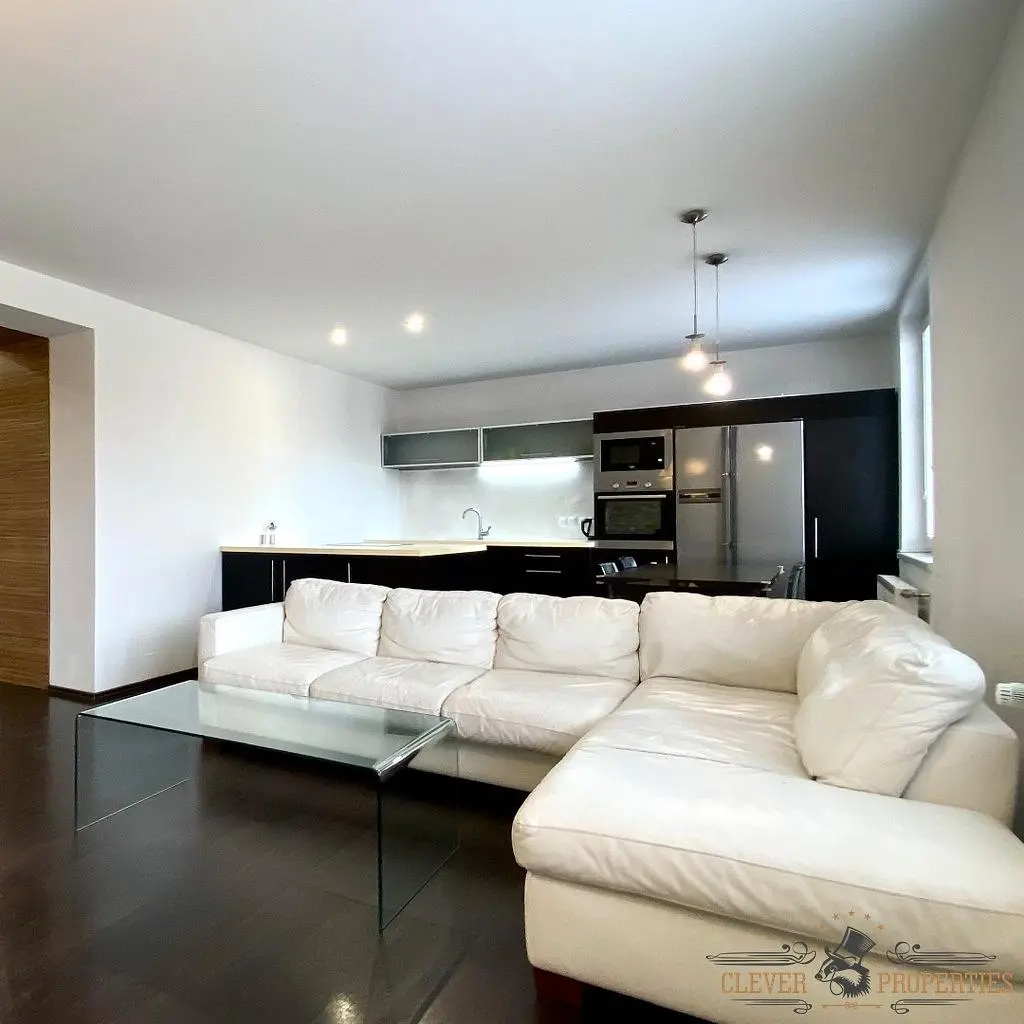 Obývačka; kuchynské spotrebiče, prirodzené svetlo, moderný štýl