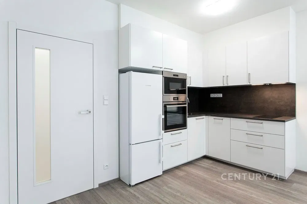 Küche; küchengeräte, renoviert