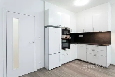 Küche; küchengeräte, renoviert