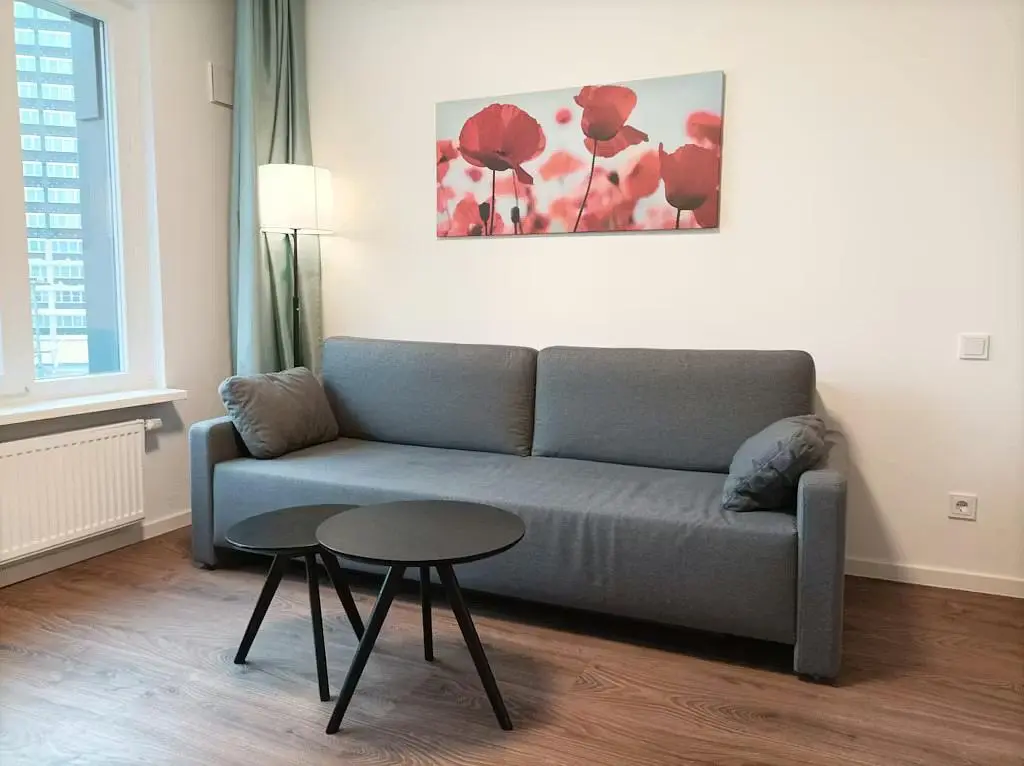 Living room; wood floor, natural light, modern style
