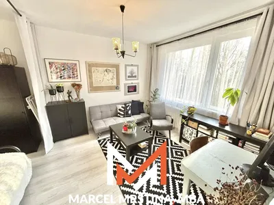 Wohnzimmer; blick, tageslicht, moderner stil