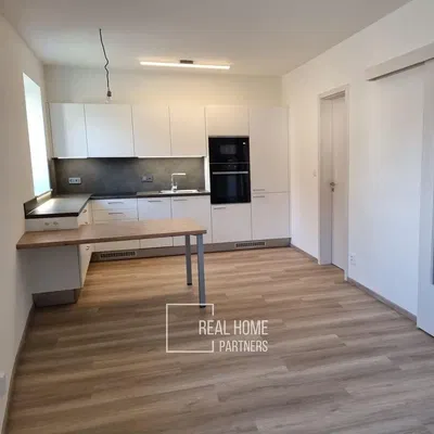 Kuchyňa; kuchynské spotrebiče, prirodzené svetlo, moderný štýl, po rekonštrukcii