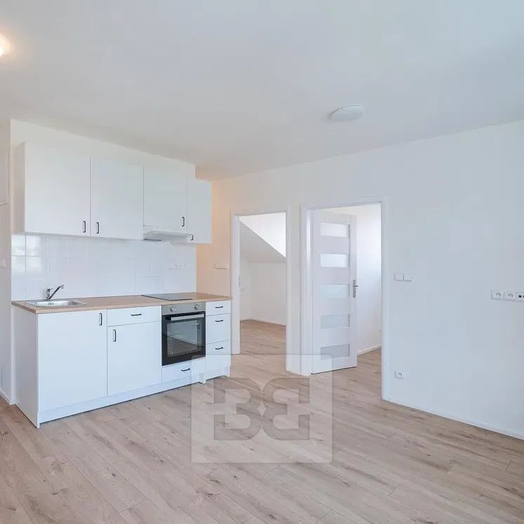 Kuchyňa; kuchynské spotrebiče, prirodzené svetlo, moderný štýl, po rekonštrukcii