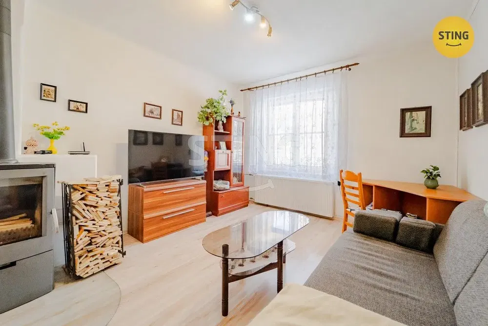 Living room; fireplace, natural light, modern style