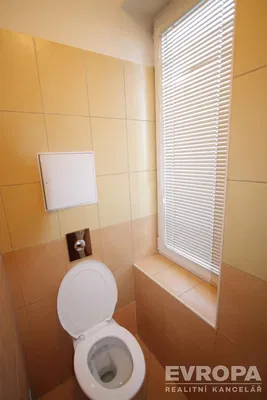 Toaleta; dlažba, dlažba